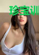 珍宝训宠师