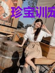 珍宝训宠师