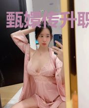 甄嬛传升职日常