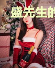 盛先生的绯闻前妻