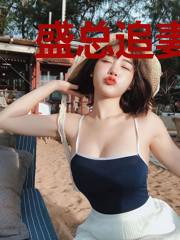 盛总追妻萌宝助攻