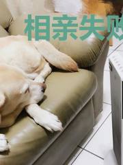 相亲失败，我闪婚了个千亿霸总纪然