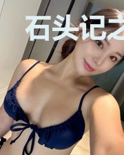 石头记之遂万物之宜