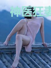 神医狂妻:九爷,别来无恙