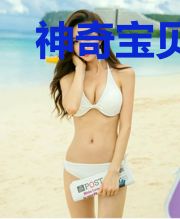 神奇宝贝:NPC的自我修养