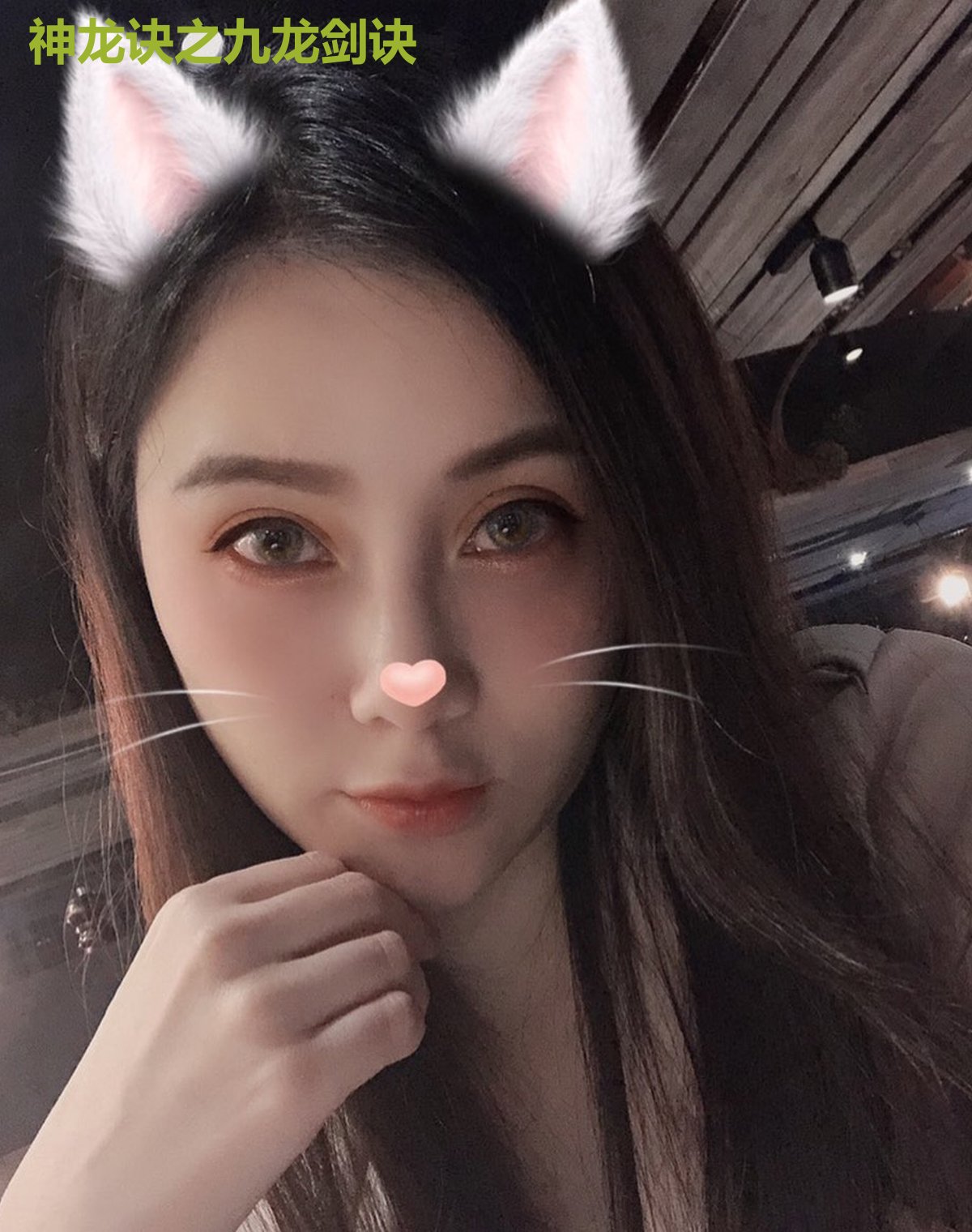 神龙诀之九龙剑诀