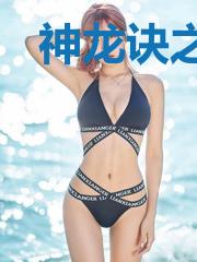 神龙诀之九龙剑诀