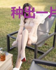 种出一片神话传说