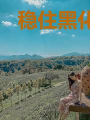 稳住黑化的反派前夫