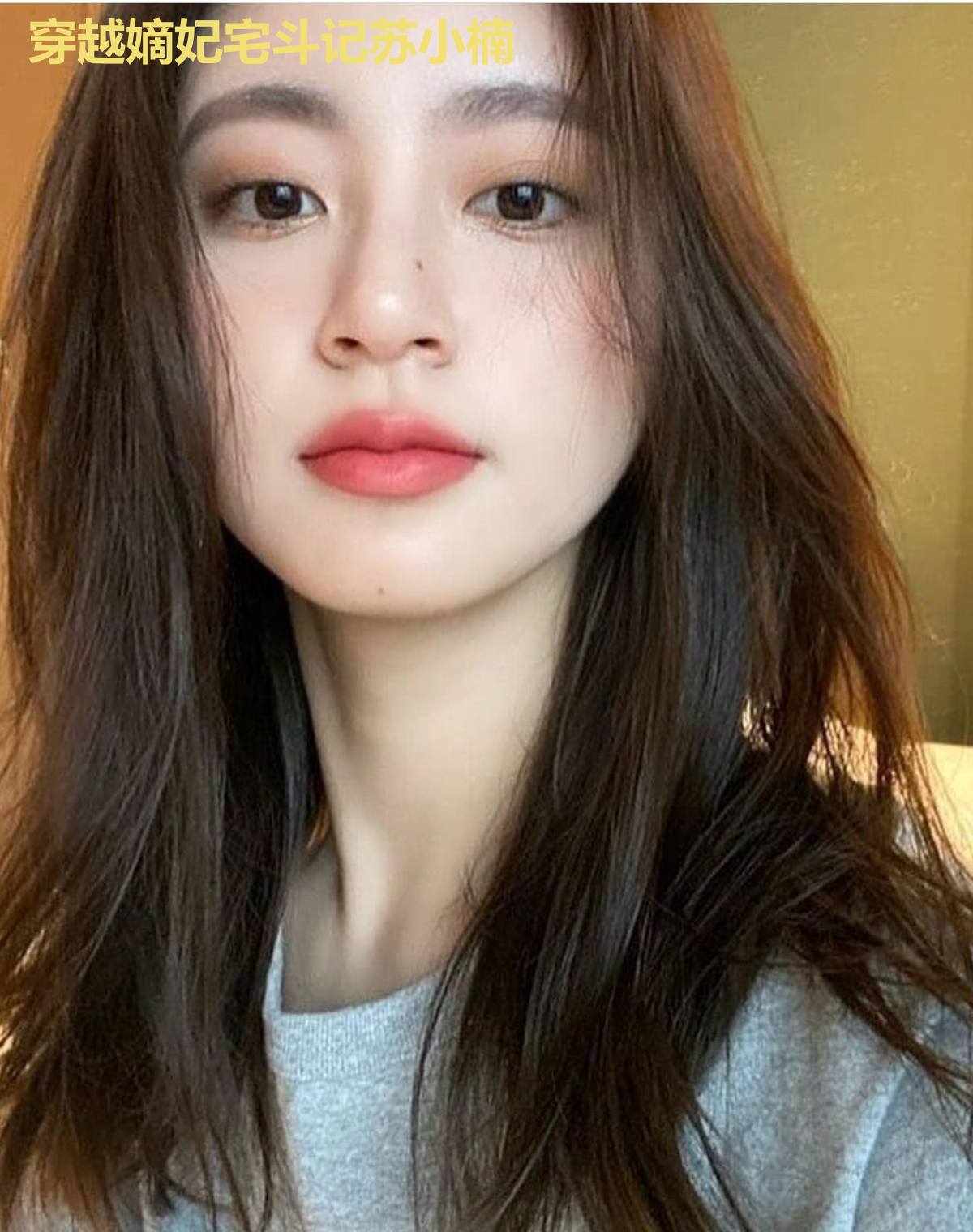 穿越嫡妃宅斗记苏小楠