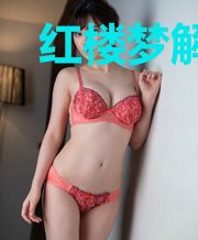 红楼梦解析