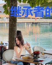 继承者的刁钻小妻