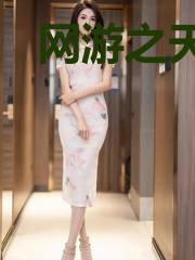 网游之天书世界