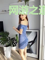 网游之道王