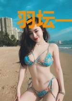 羽坛——王者之路