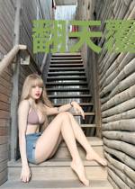 翻天覆地一只狐