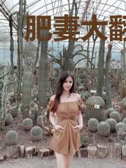 肥妻大翻身