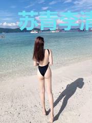 苏青李清雪