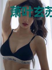 萧叶玄苏小灵