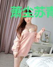萧尘苏青衣