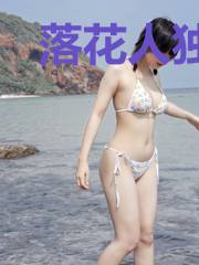 落花人独立