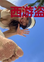 西游盗墓记