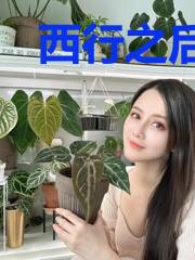 西行之后向西行