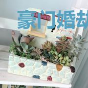 豪门婚劫：误惹神秘老公厉承夜