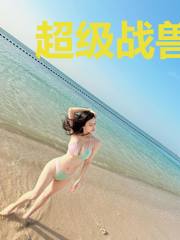 超级战兽系统