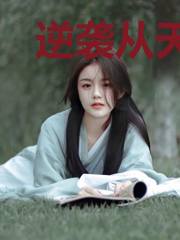逆袭从天王开始苏南苏晓晓