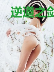 逆道之剑域九天