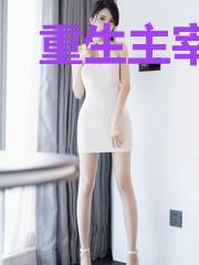 重生主宰无双鸿天