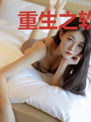 重生之软件大亨