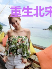 重生北宋最强王爷