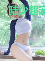 陆少超宠复仇妻陆庭楼