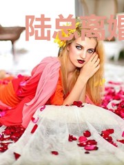 陆总离婚请签字