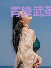 青锋武圣林天依