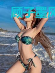 顾子墨风莫离