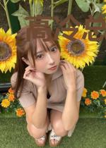 高冷总裁娇宠妻