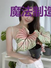 魔法制造者