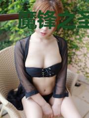 魔锋之圣鸿