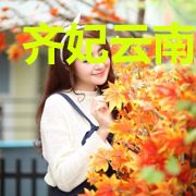 齐妃云南宫夜