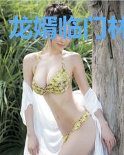 龙婿临门林天风