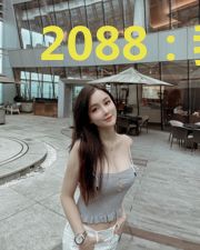 2088：我的奶爸英雄