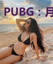 PUBG:月光