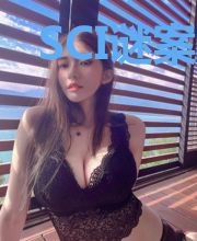 SCI谜案集(第五部)